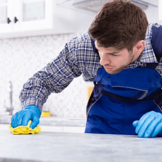 Curatenie de intretinere